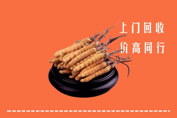 高价求购：吉州区回收散虫草