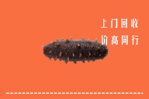 高价求购：吉州区回收海参