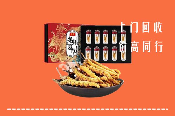 吉州区回收虫草